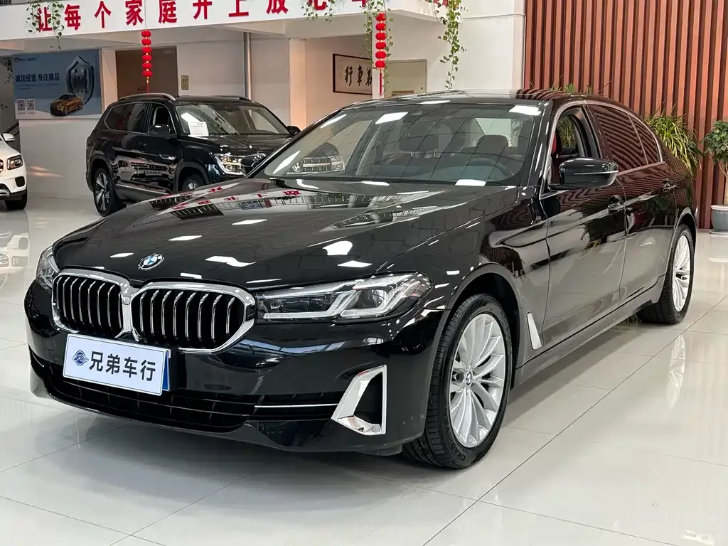 BMW 5 Series 2023 из CN, фото 2