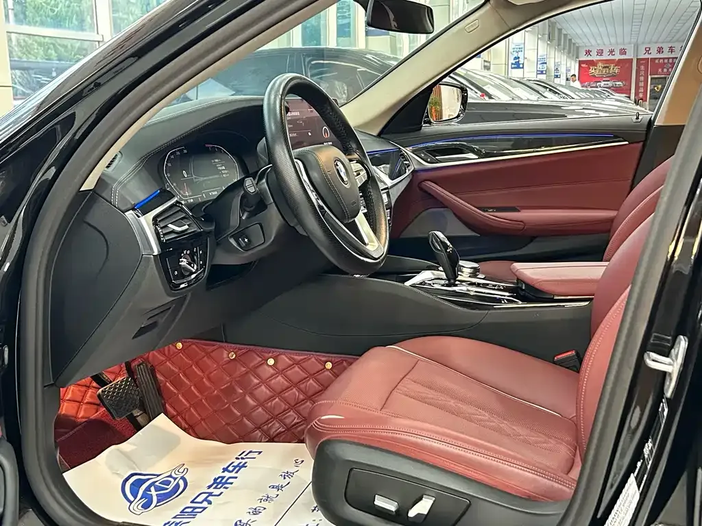 BMW 5 Series 2023 из CN, фото 4