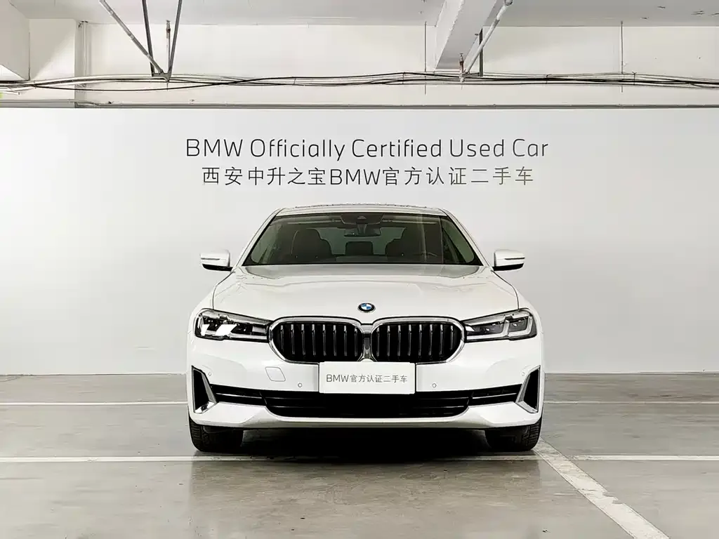 BMW 5 Series 2023 из CN, фото 2