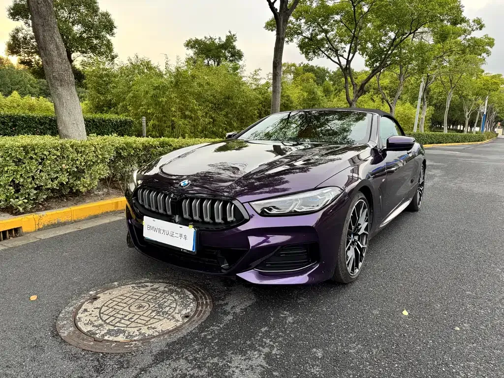 BMW 8 Series 2024 из CN, фото 1