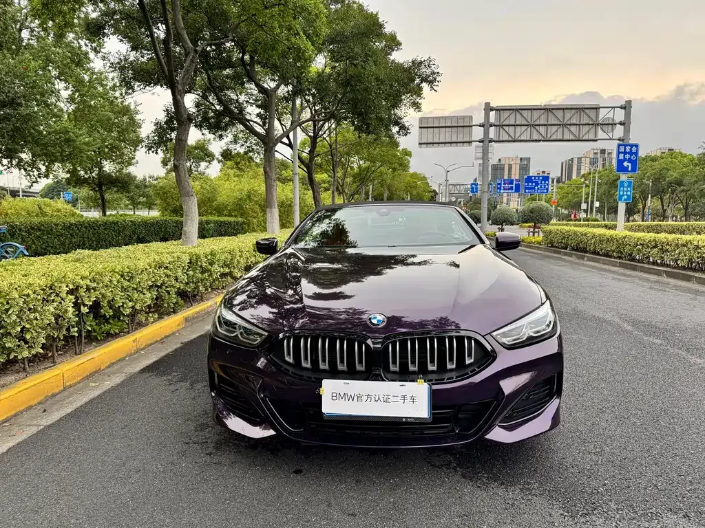 BMW 8 Series 2024 из CN, фото 2