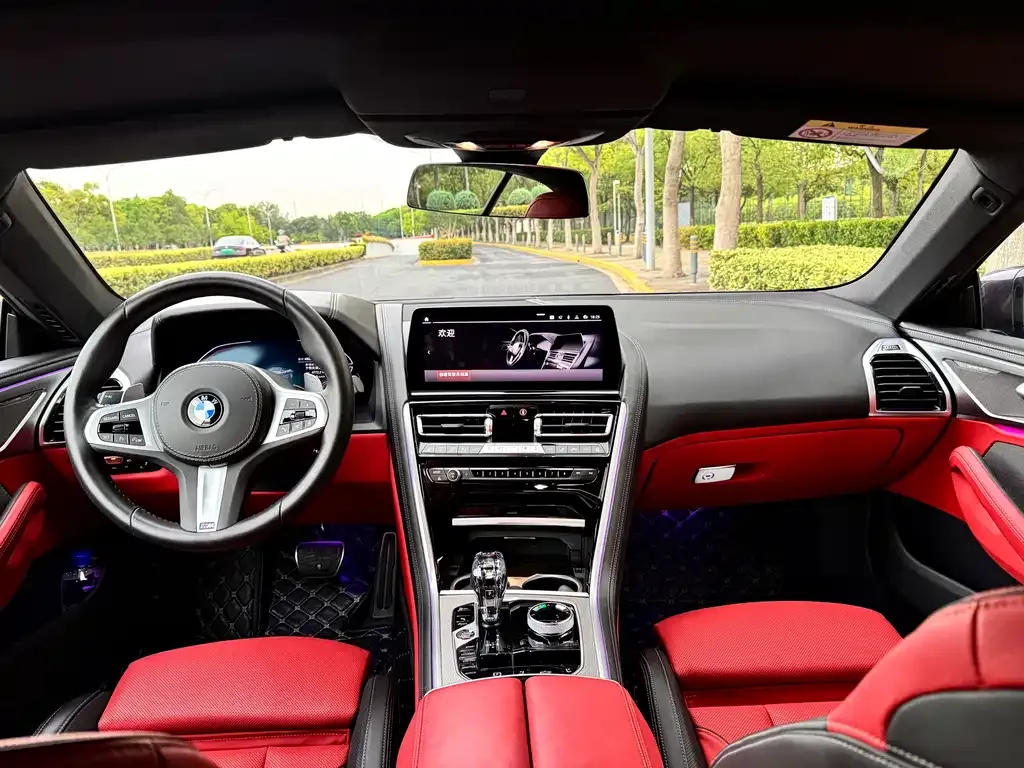 BMW 8 Series 2024 из CN, фото 8