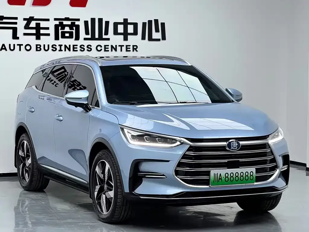 BYD Tang New Energy 2023 из CN, фото 2