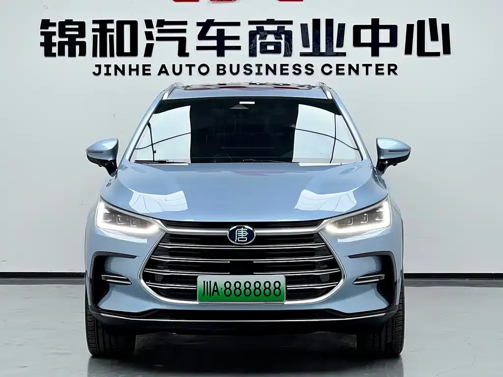 BYD Tang New Energy 2023 из CN, фото 3