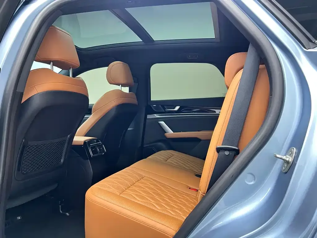 BYD Tang New Energy 2023 из CN, фото 8
