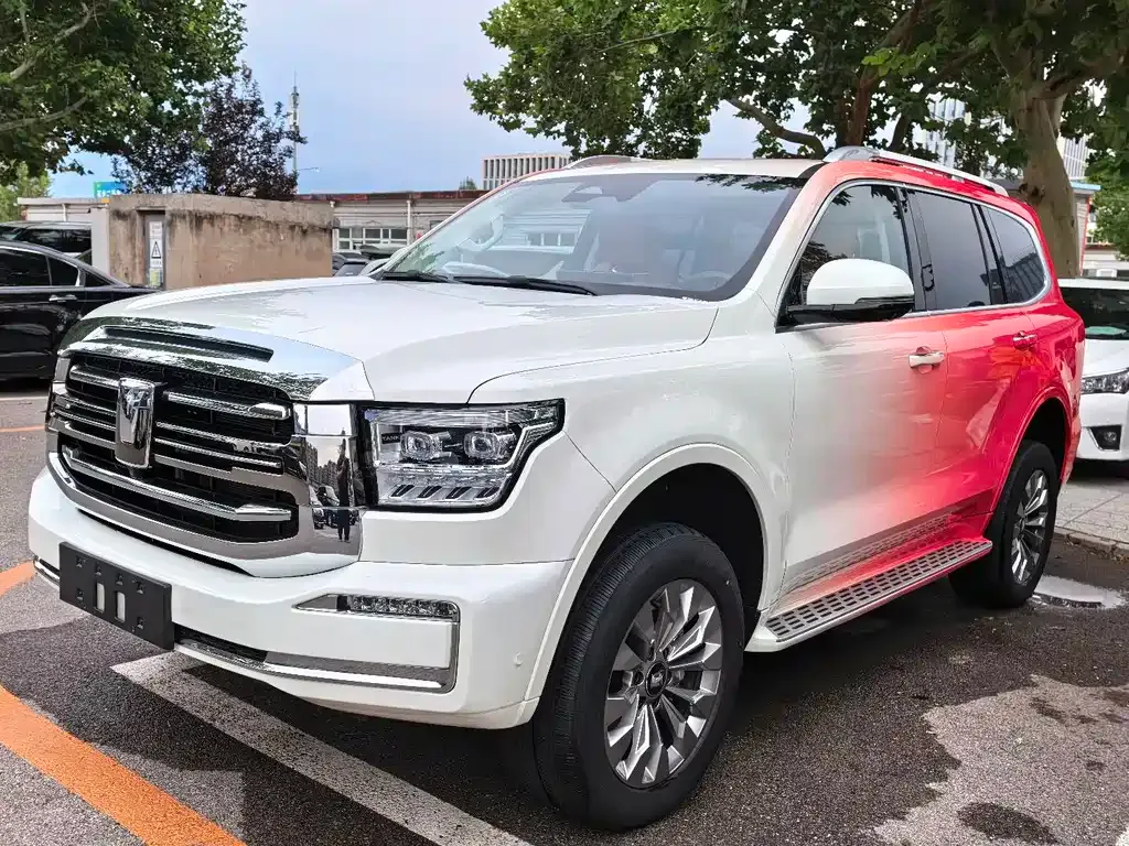 Tank 500 New Energy 2024 из CN, фото 1