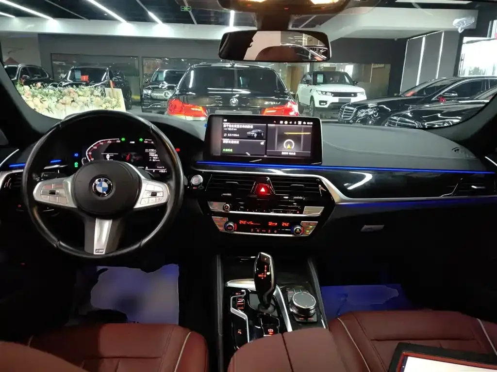 BMW 5 Series 2023 из CN, фото 10