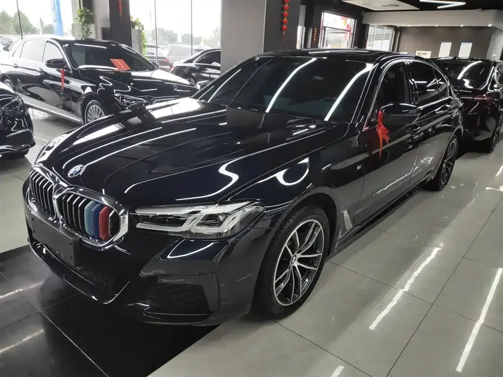 BMW 5 Series 2023 из CN, фото 2