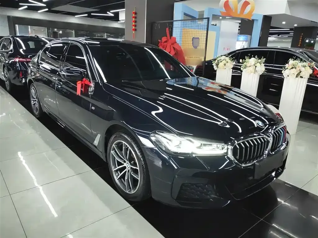 BMW 5 Series 2023 из CN, фото 4