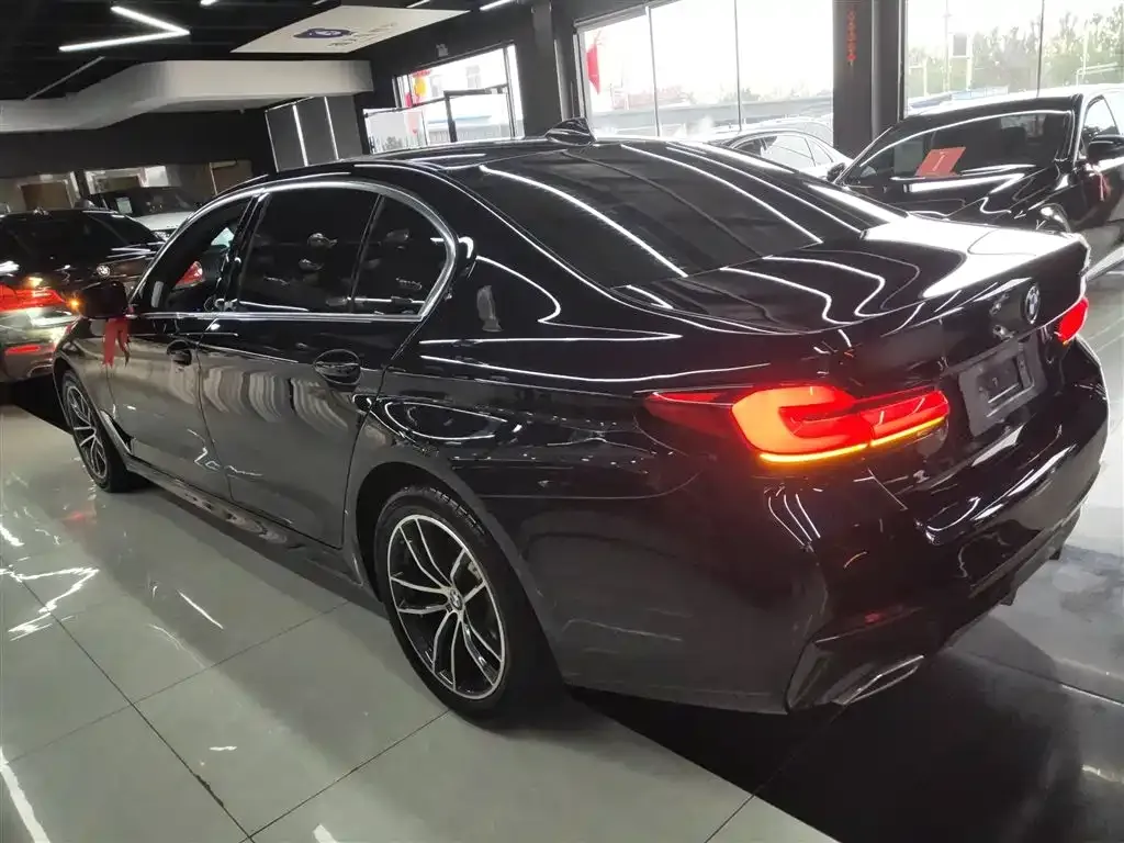 BMW 5 Series 2023 из CN, фото 5