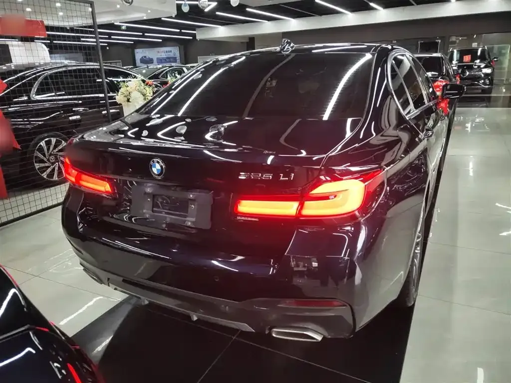 BMW 5 Series 2023 из CN, фото 6