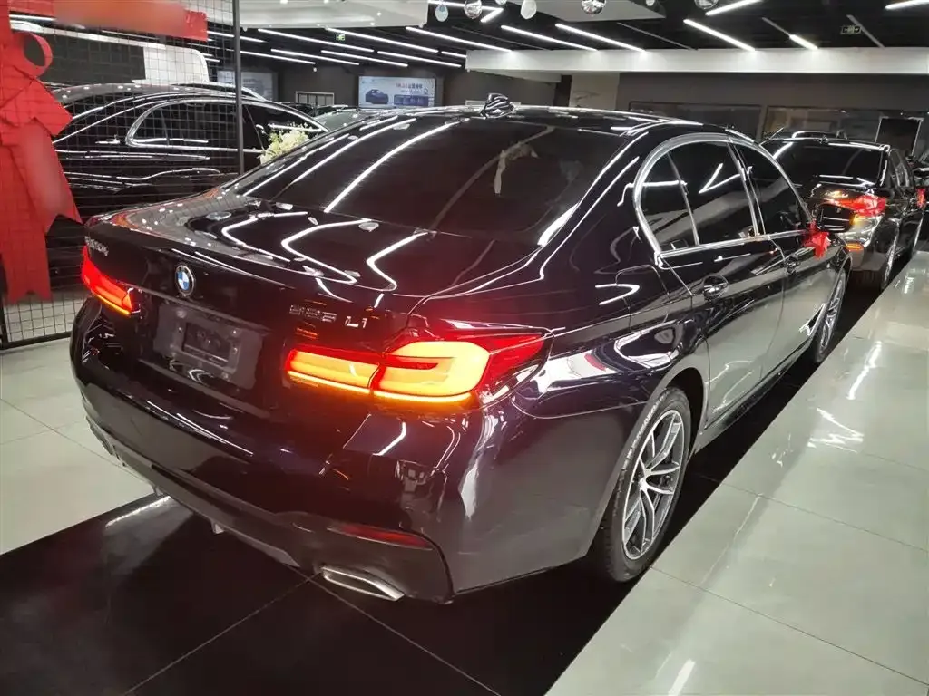 BMW 5 Series 2023 из CN, фото 7