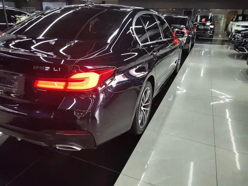 BMW 5 Series 2023 из CN, фото 8