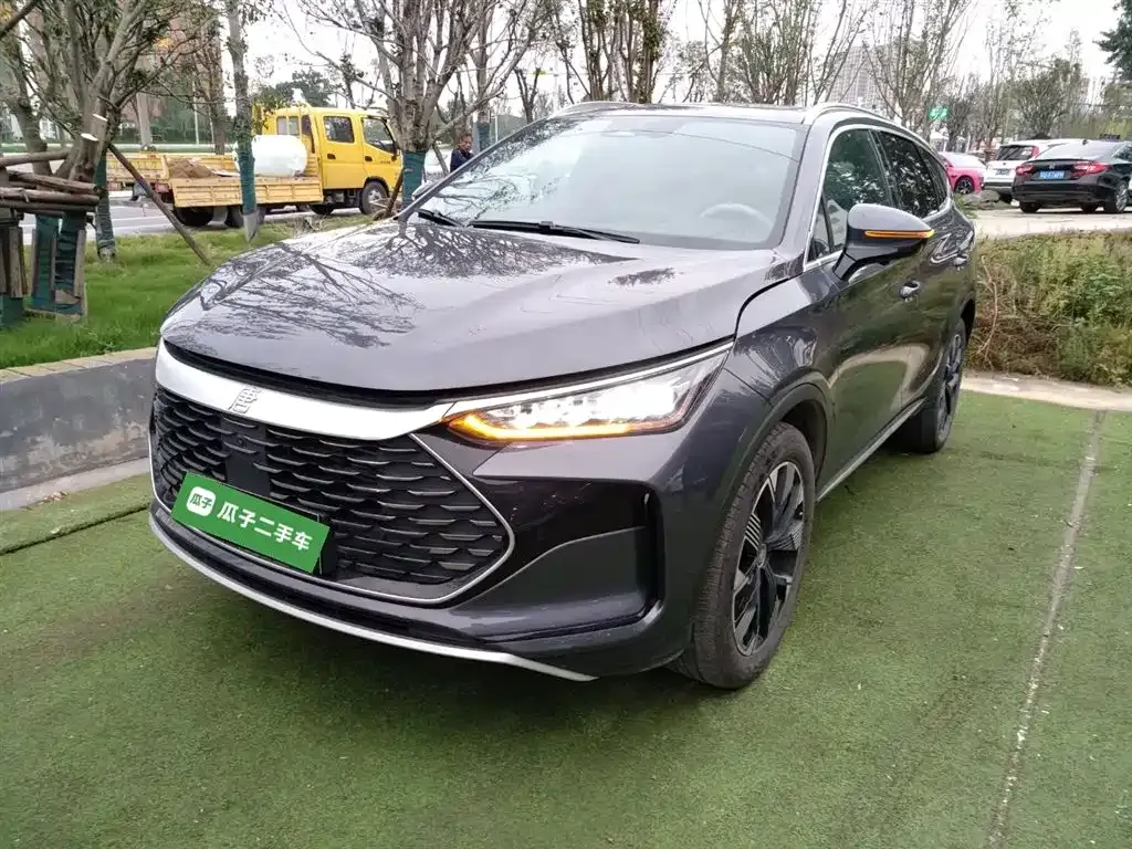 BYD Tang New Energy 2024 из CN, фото 1