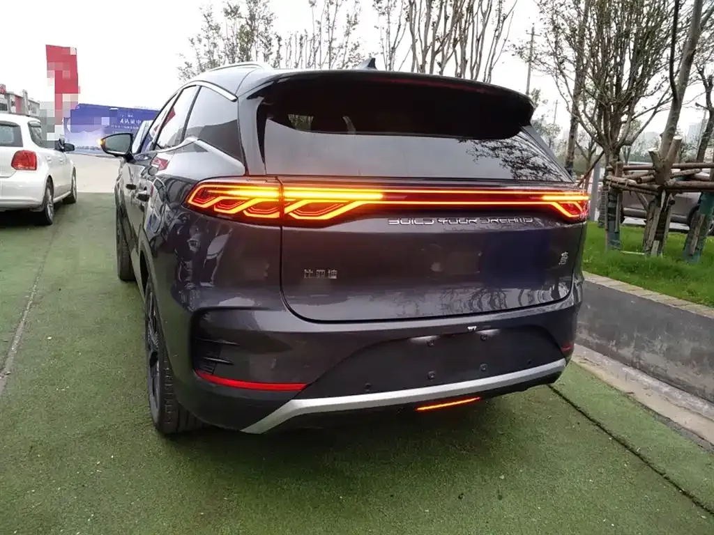BYD Tang New Energy 2024 из CN, фото 6