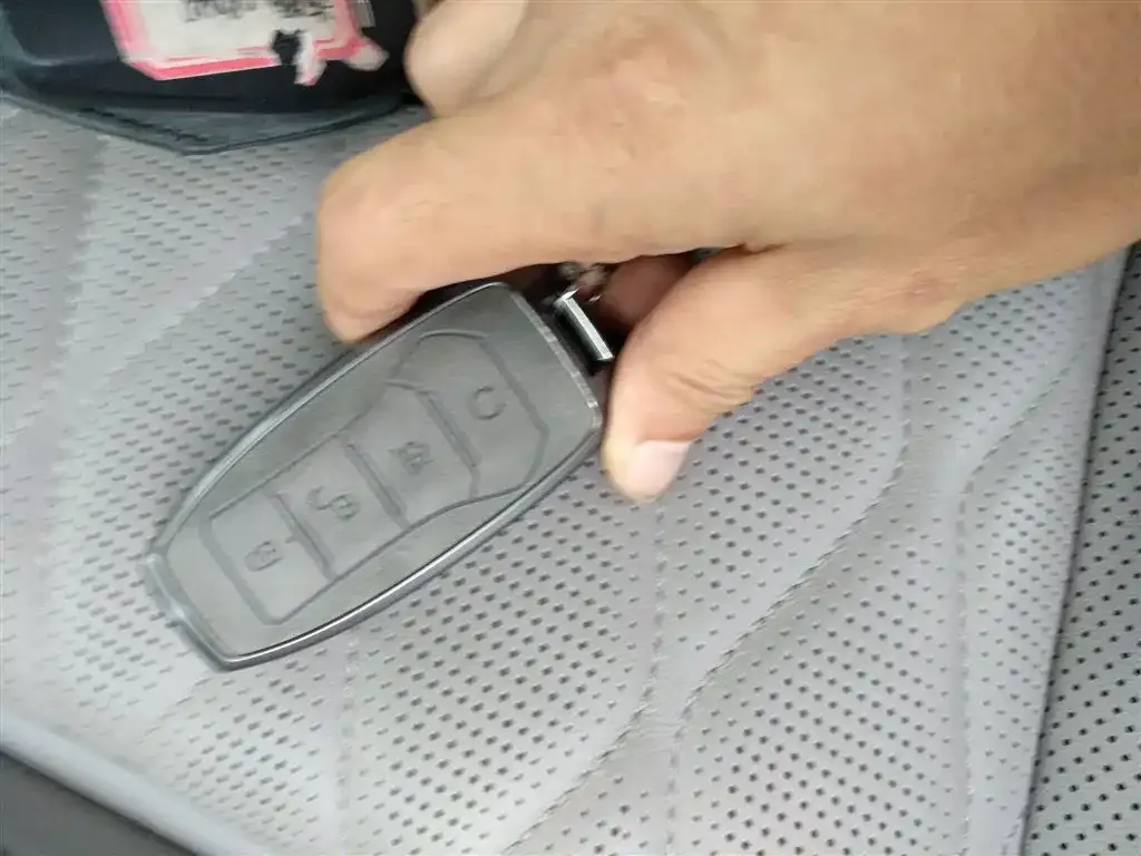 BYD Tang New Energy 2024 из CN, фото 9