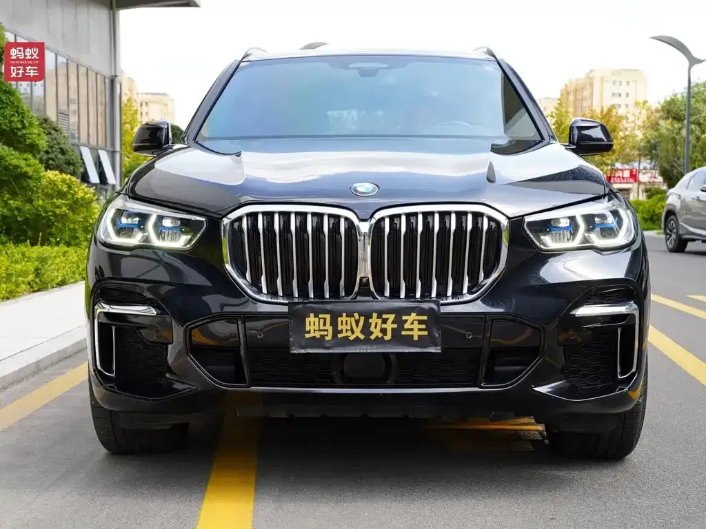 BMW X5 2023 из CN, фото 2