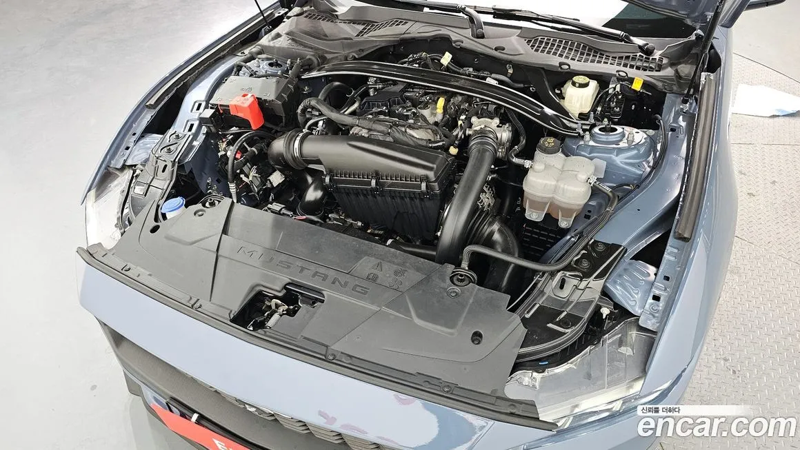 Ford Mustang 2024 из KR, фото 6