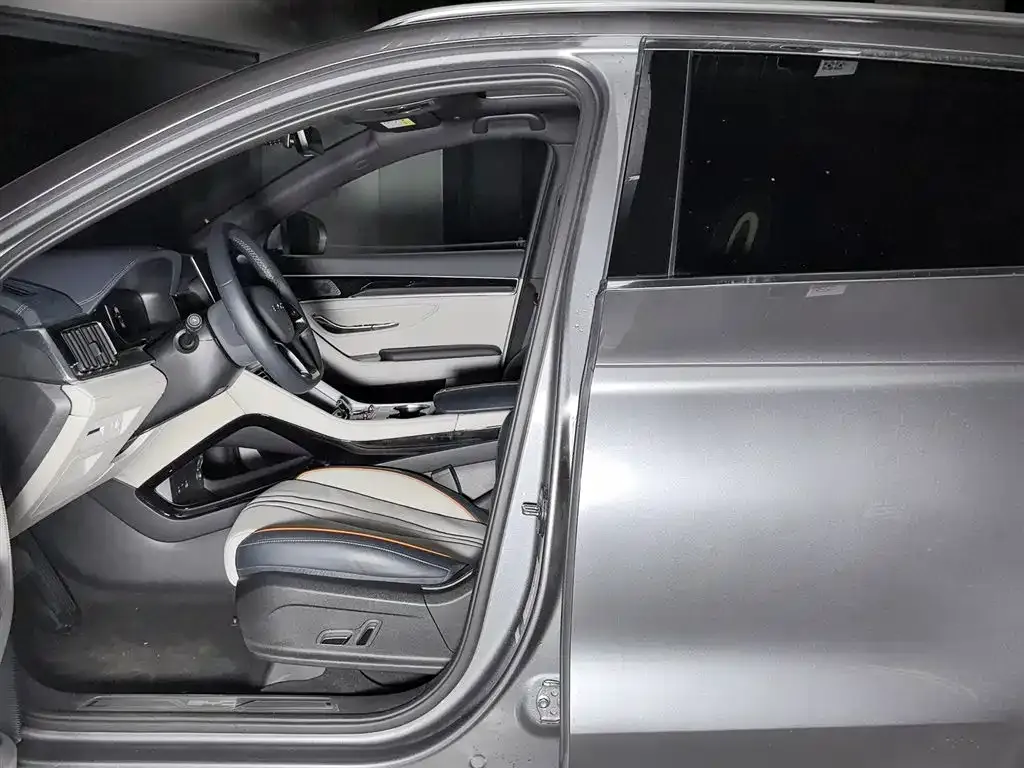 BYD PLUS New Energy 2024 из CN, фото 10