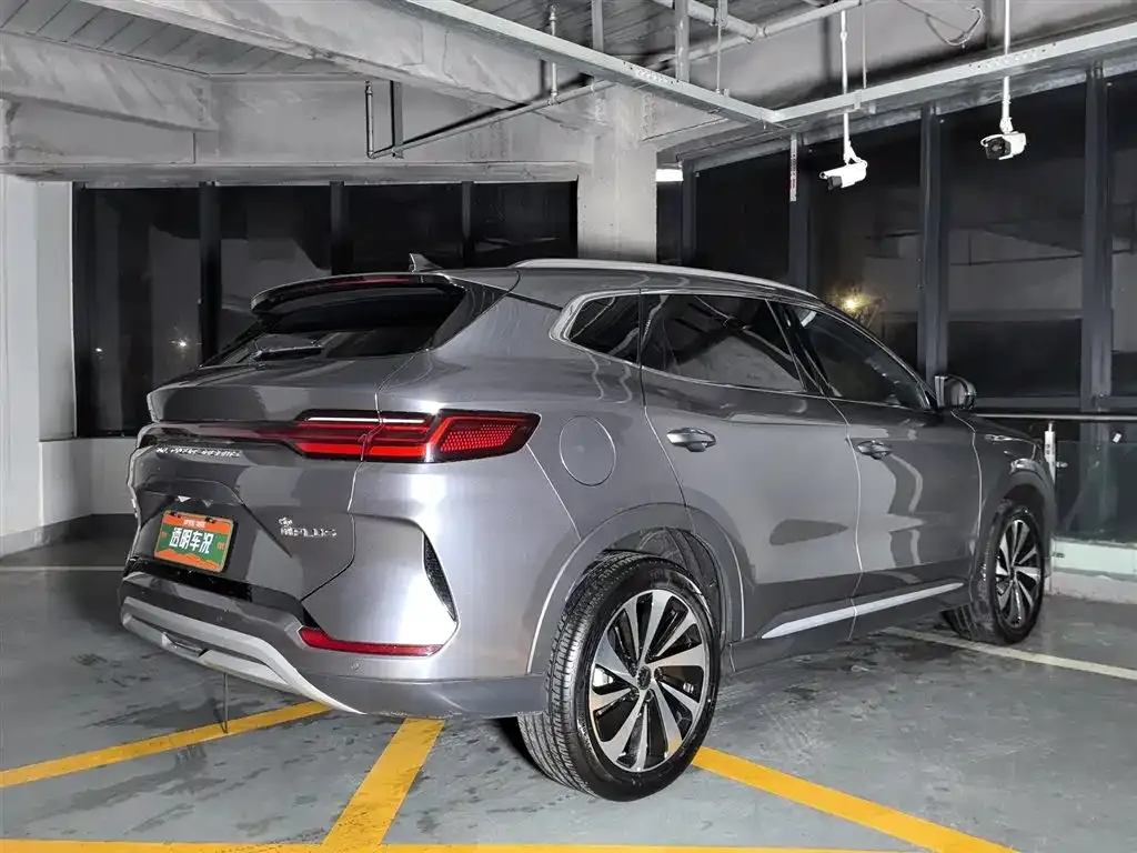 BYD PLUS New Energy 2024 из CN, фото 2