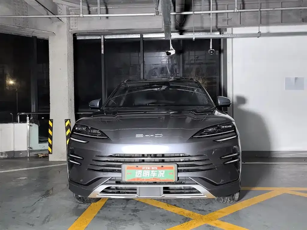 BYD PLUS New Energy 2024 из CN, фото 3