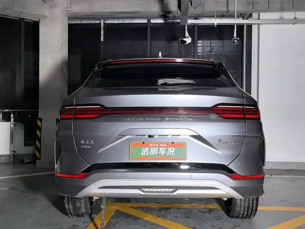 BYD PLUS New Energy 2024 из CN, фото 4