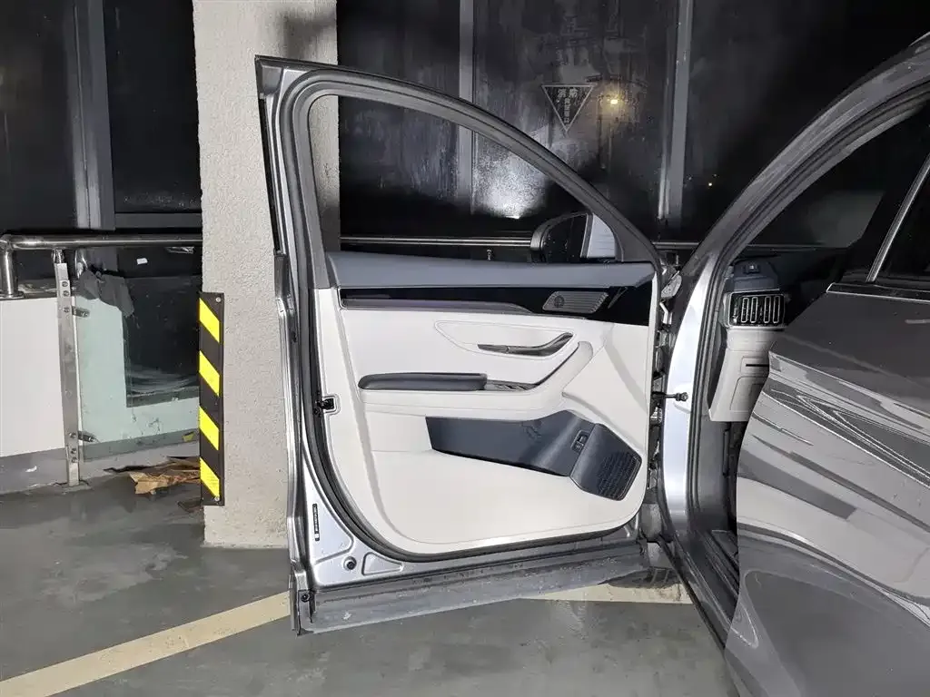 BYD PLUS New Energy 2024 из CN, фото 8