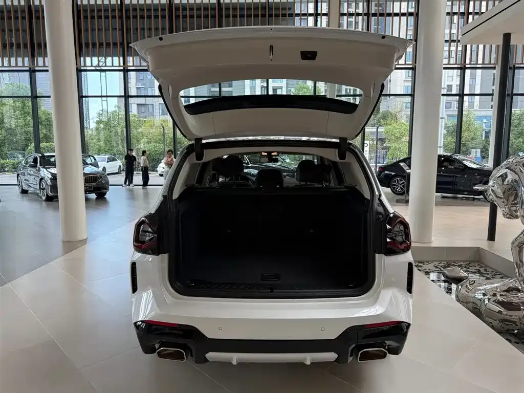BMW X3 2024 из CN, фото 3