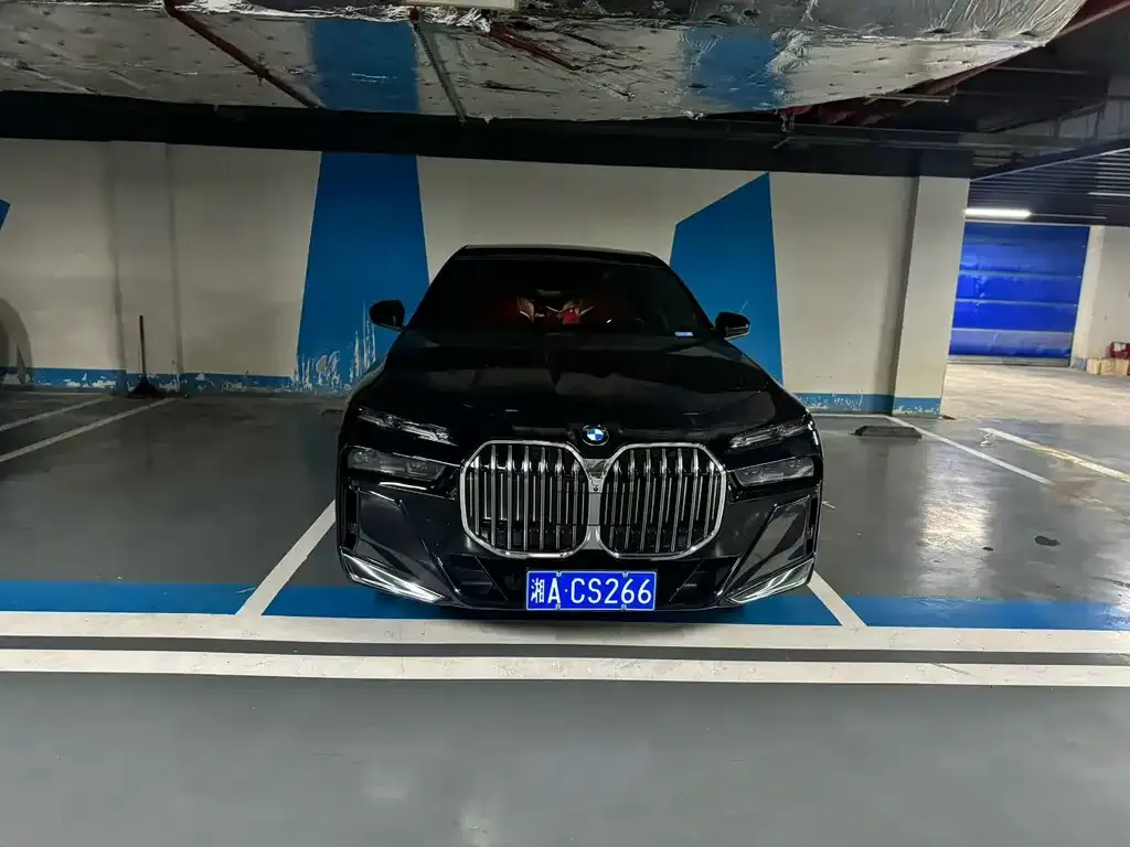 BMW 7 Series 2022 из CN, фото 2