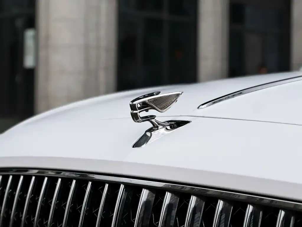 Bentley Flying Spur 2021 из CN, фото 9