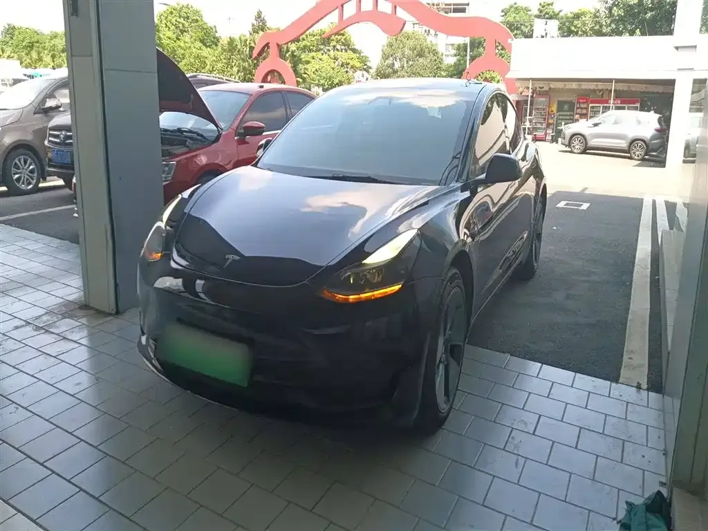 Tesla Model 3 2021 из CN, фото 2