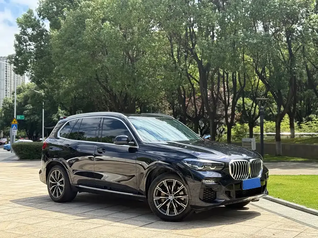 BMW X5 (Import) 2021 из CN, фото 4
