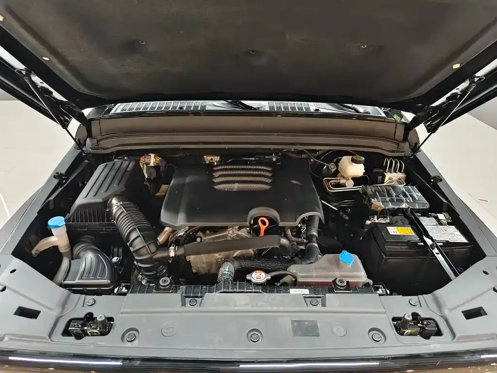 [object Object] Tank 300 2023 из CN, фото 6