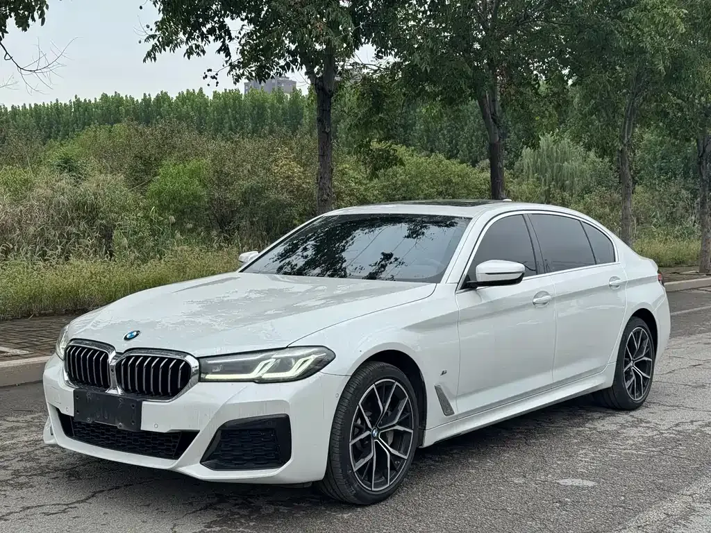 BMW 5 Series 2023 из CN, фото 1