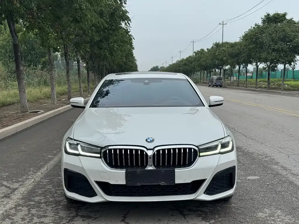 BMW 5 Series 2023 из CN, фото 2