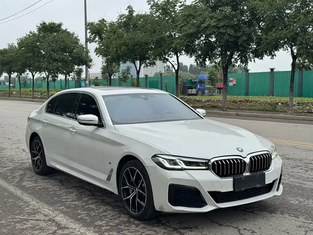 BMW 5 Series 2023 из CN, фото 3