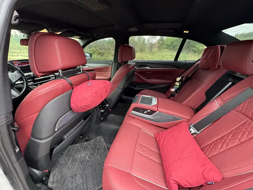 BMW 5 Series 2023 из CN, фото 6