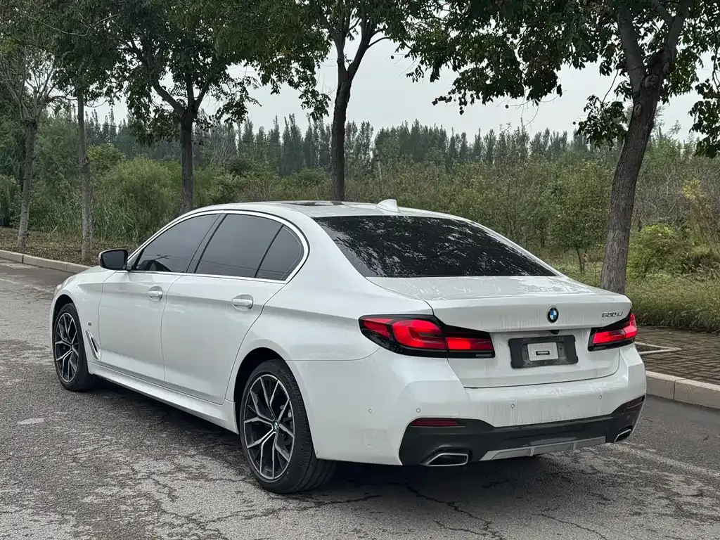 BMW 5 Series 2023 из CN, фото 7