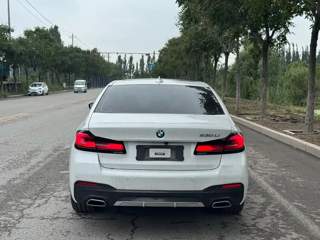 BMW 5 Series 2023 из CN, фото 8