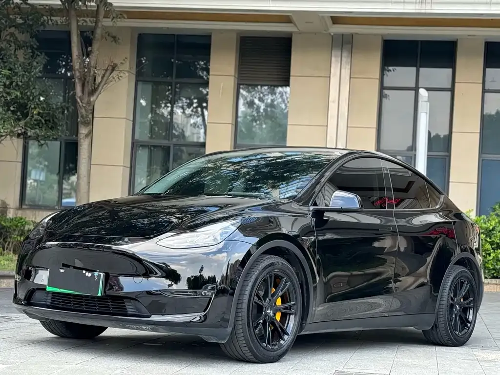 Tesla Model Y — фото 1