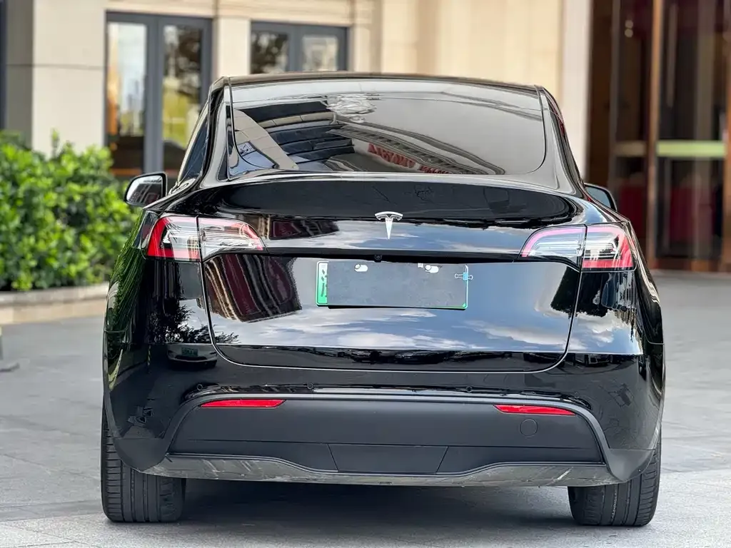 Tesla Model Y — фото 10