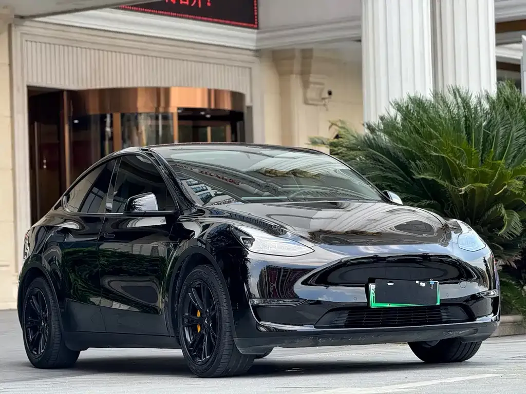 Tesla Model Y — фото 3