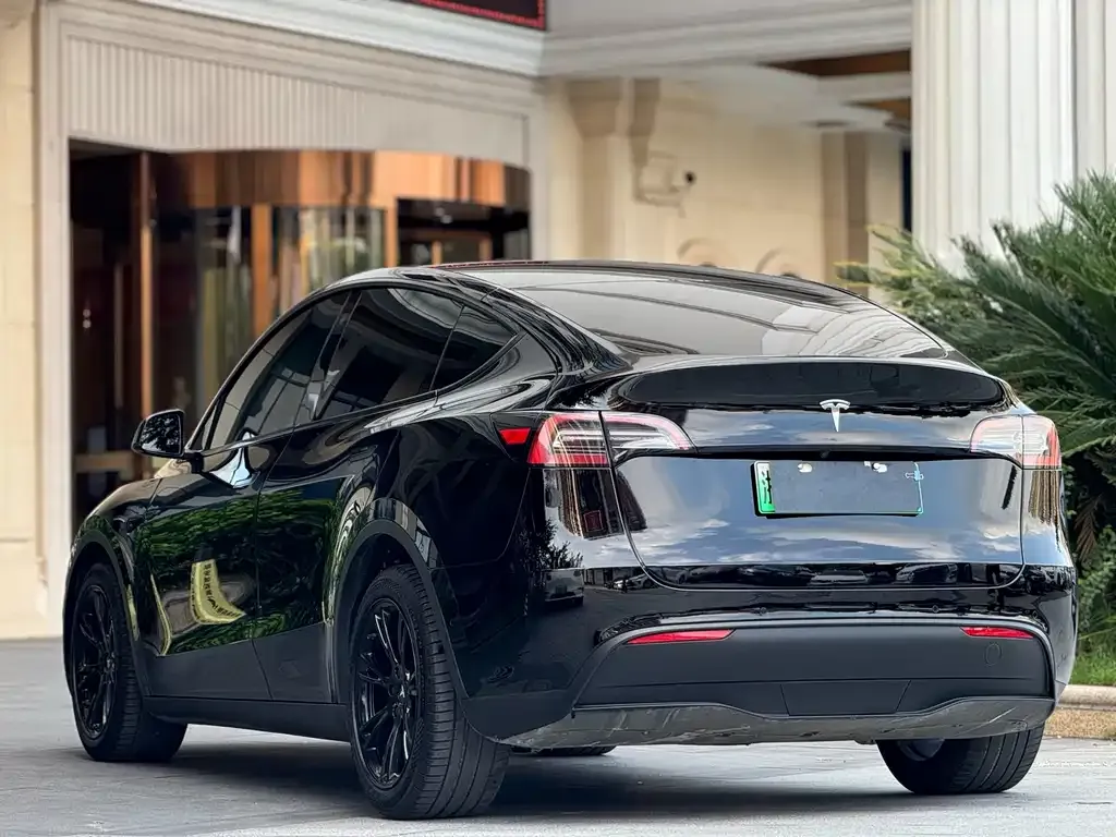 Tesla Model Y — фото 9