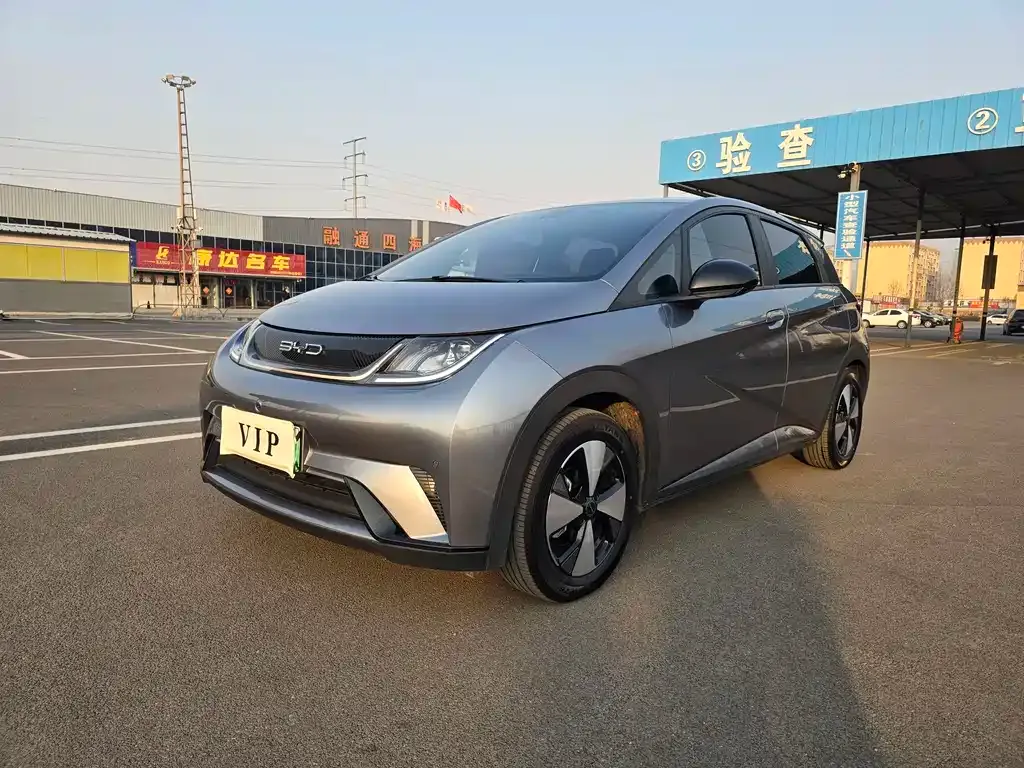 BYD Dolphin 2024 из CN, фото 1