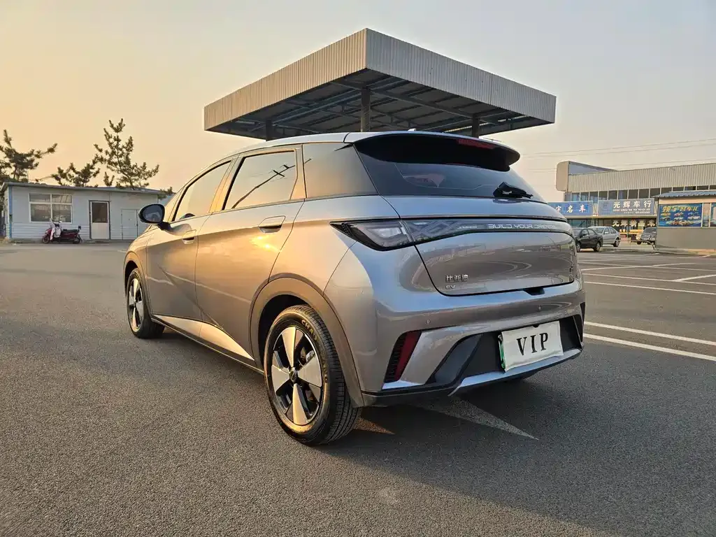 BYD Dolphin 2024 из CN, фото 4