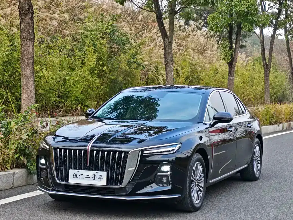 Hongqi H5 2023 из CN, фото 1