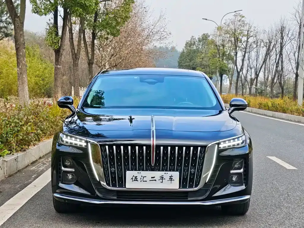 Hongqi H5 2023 из CN, фото 2