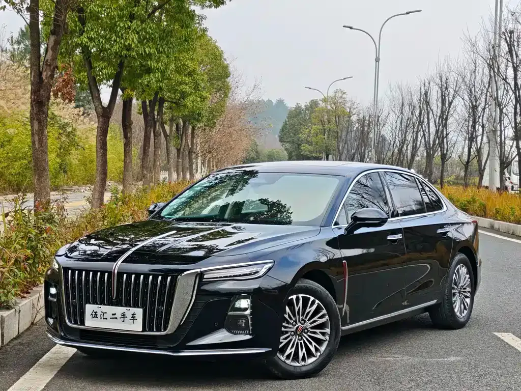 Hongqi H5 2023 из CN, фото 3
