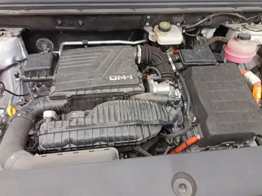 BYD Pro New Energy 2022 из CN, фото 10