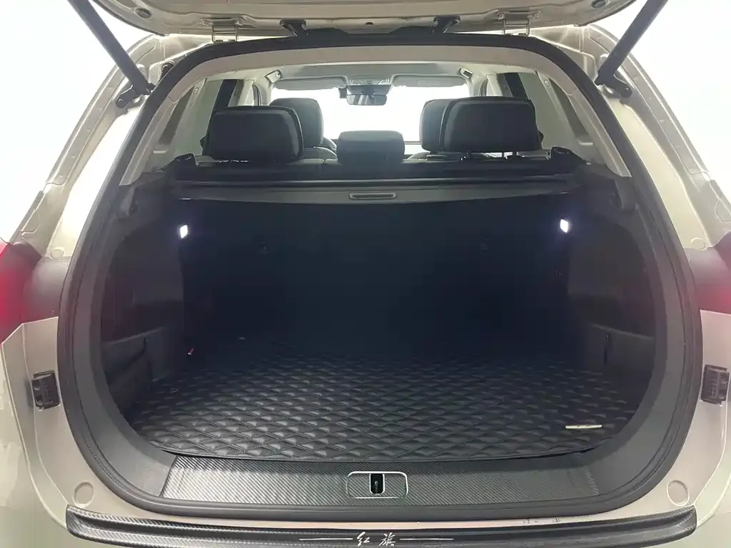 Hongqi HS5 2023 из CN, фото 10